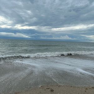 Meet your Posher, Ansley